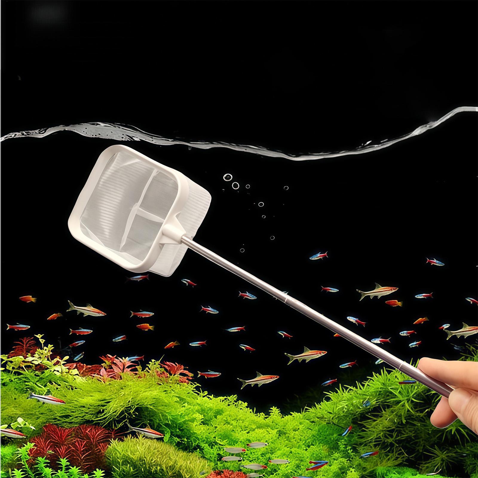 Recogedor de Hojas para Acuari - Fish Net Handle reseña y precio
