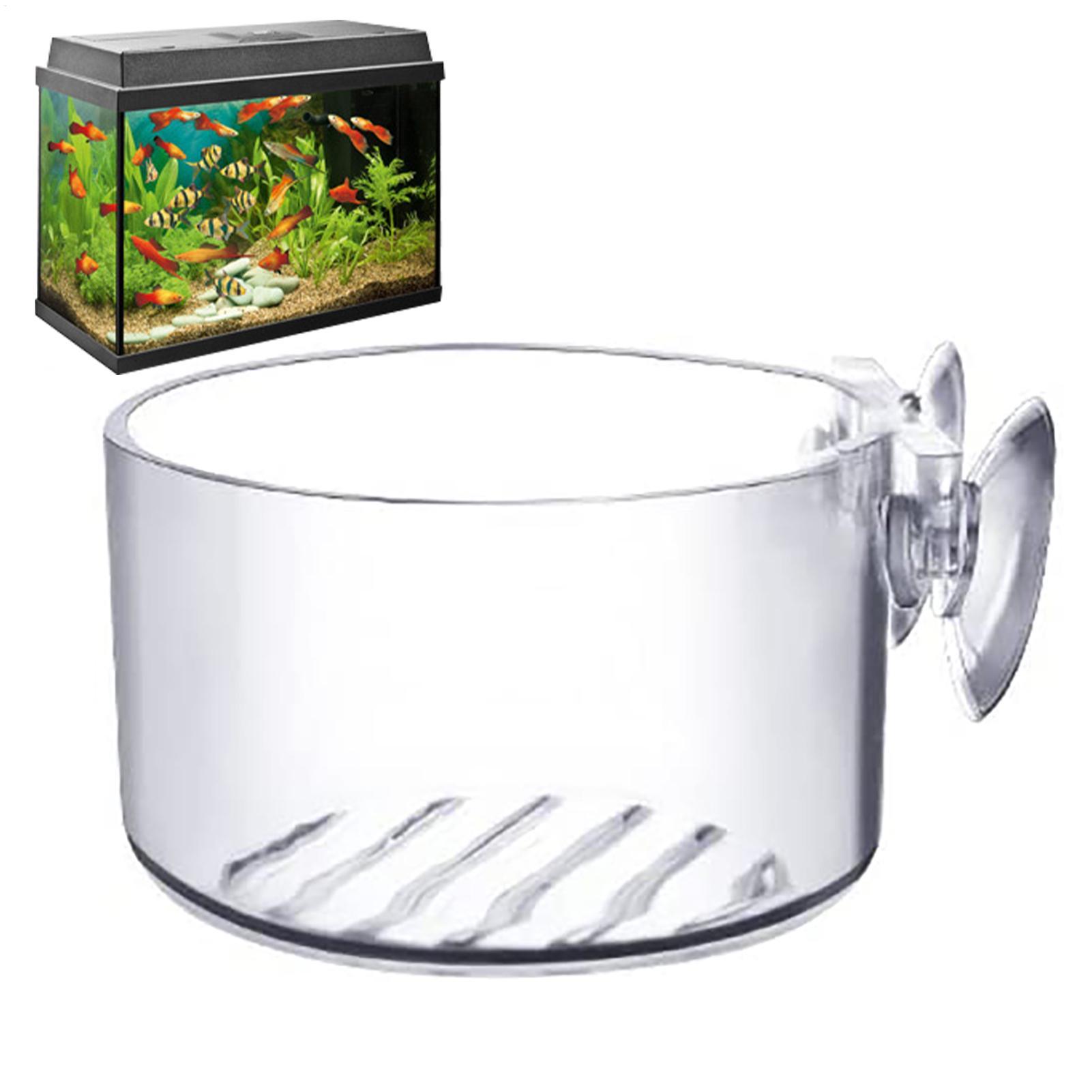 Maceta Acrílica para Plantas A - Aquarium Fish Pot reseña y precio