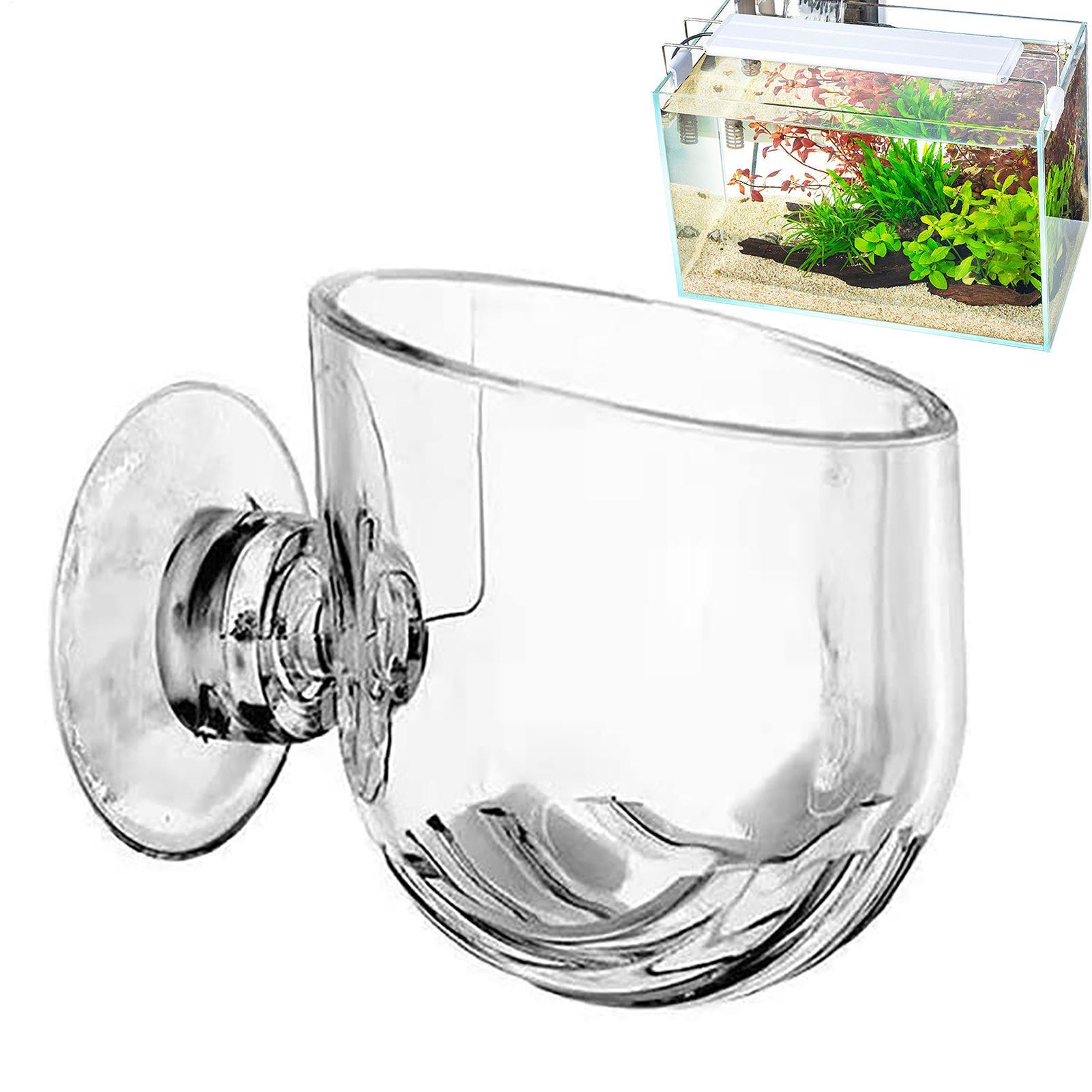 Maceta Acrílica para Plantas A - Aquarium Fish Pot reseña y precio