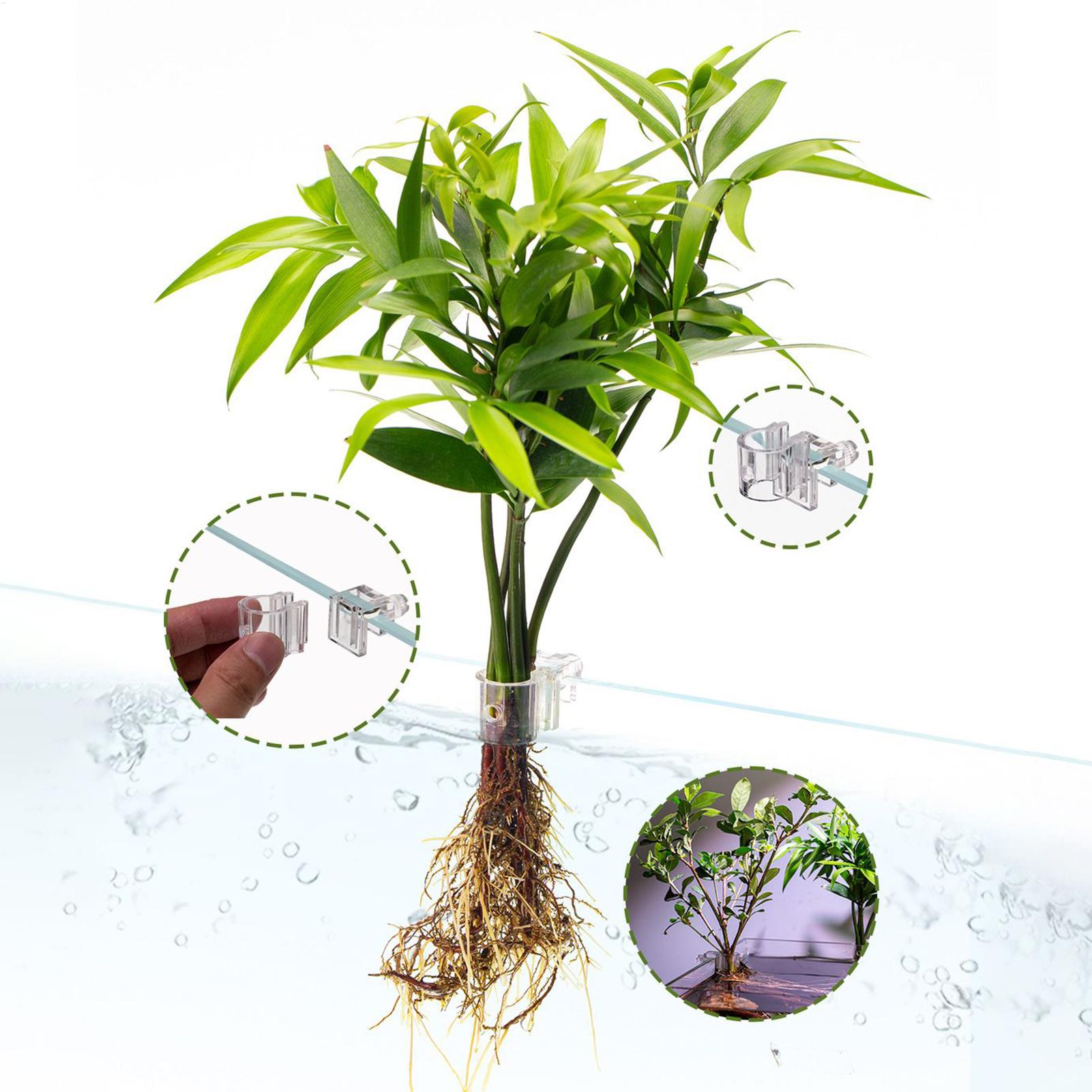 Cesta para Plantas de Acuario, - Aquarium Fish Pot reseña y precio