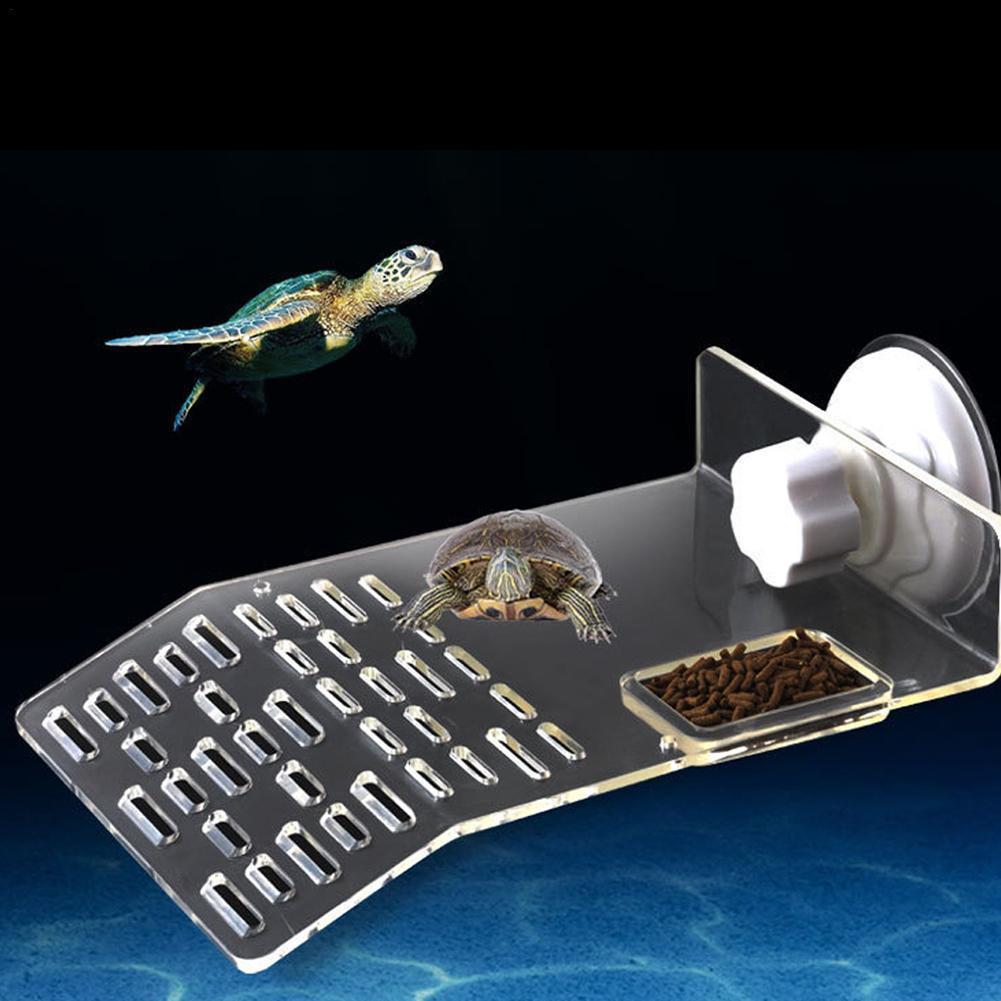 Muelle de tortuga, plataforma  - Aquarium Fishland reseña y precio