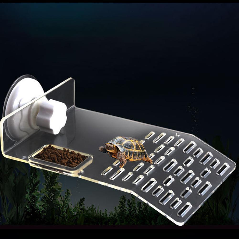 Muelle de tortuga, plataforma  - Aquarium Fishland reseña y precio