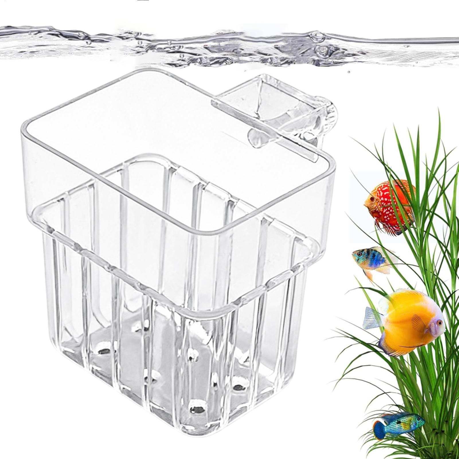 Soporte Transparente para Plan - Aquarium Fish Pot reseña y precio