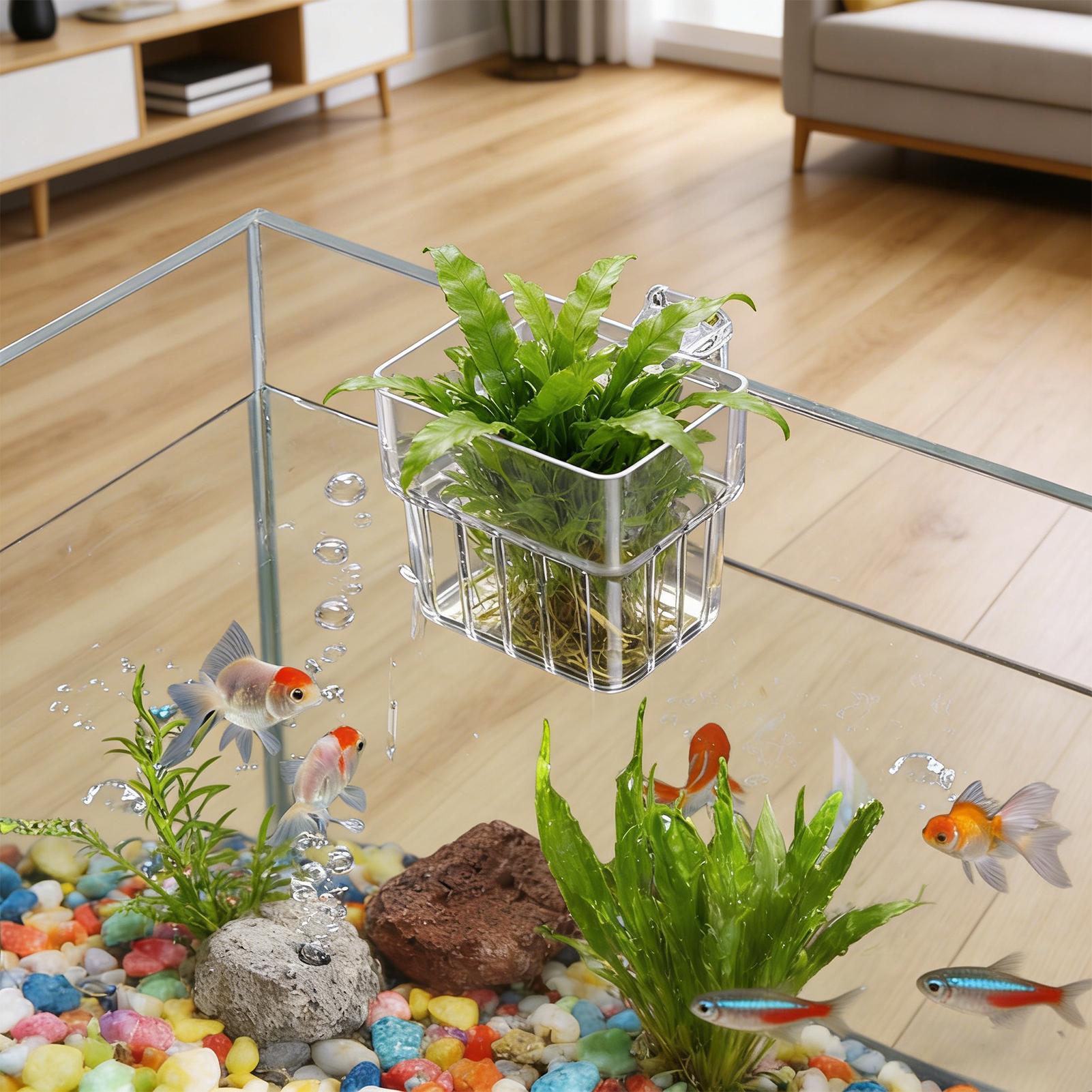 Soporte Transparente para Plan - Aquarium Fish Pot reseña y precio