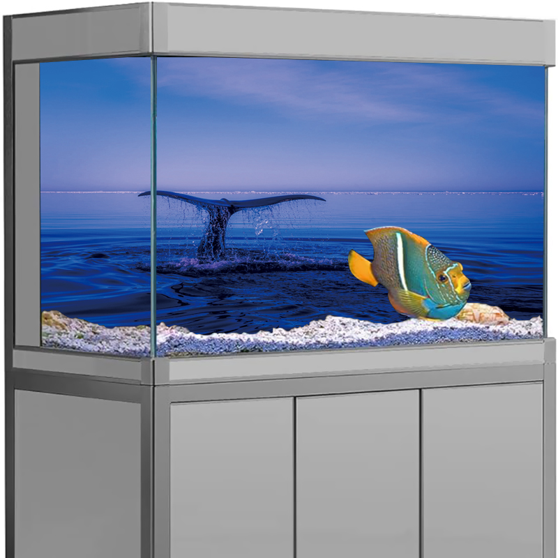 Pegatina de fondo de acuario,  - Aquarium Fish Dolphin reseña y precio