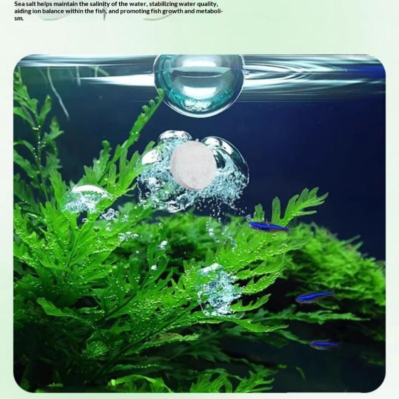 Tabletas Limpiadoras de Algas  - Aquarium Fish Maintenance reseña y precio