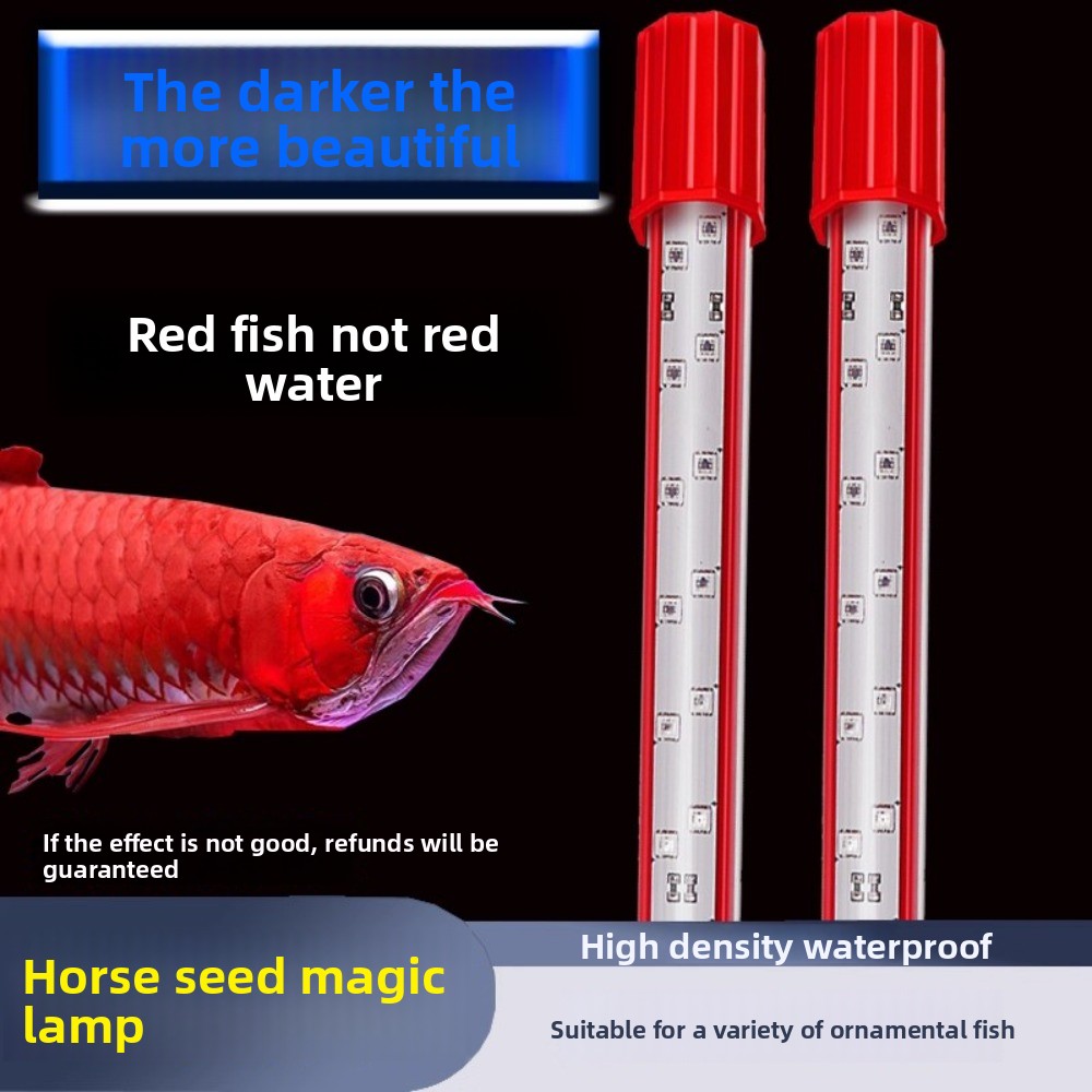 Luz de Color de pelo, tres col - Aquarium Fish Dragon reseña y precio