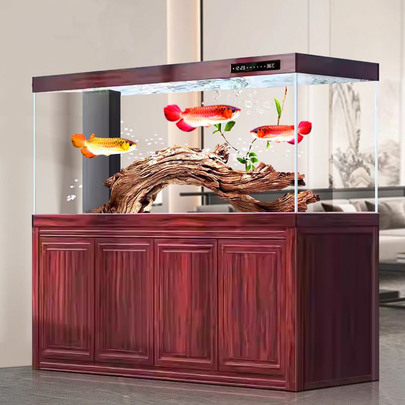 Nuevo acuario grande para sala - Aquarium Fish Dragon reseña y precio
