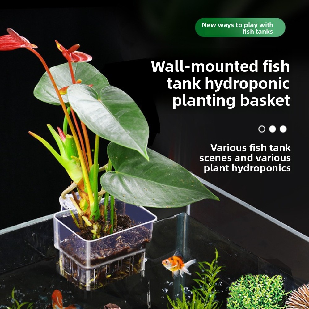 Cesta de Cultivo Hidropónico p - Aquarium Fish Pot reseña y precio