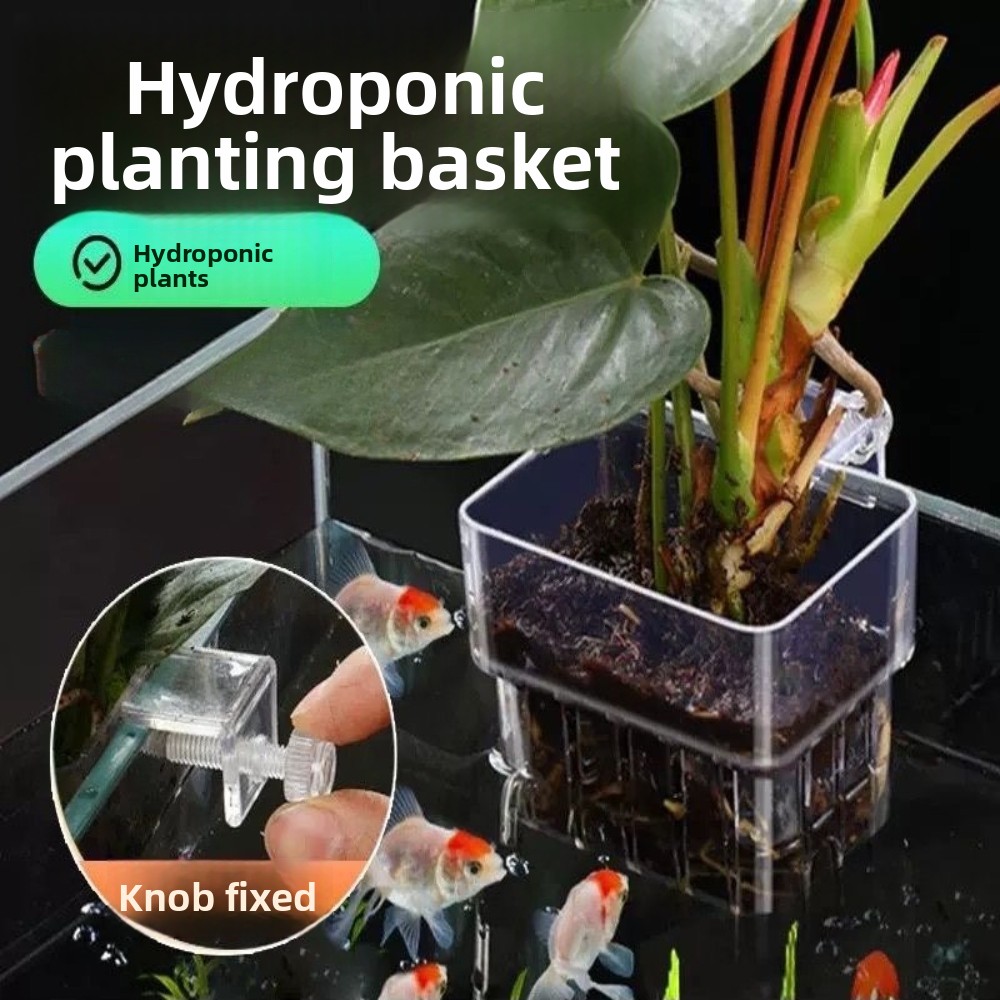 Cesta de Cultivo Hidropónico p - Aquarium Fish Pot reseña y precio