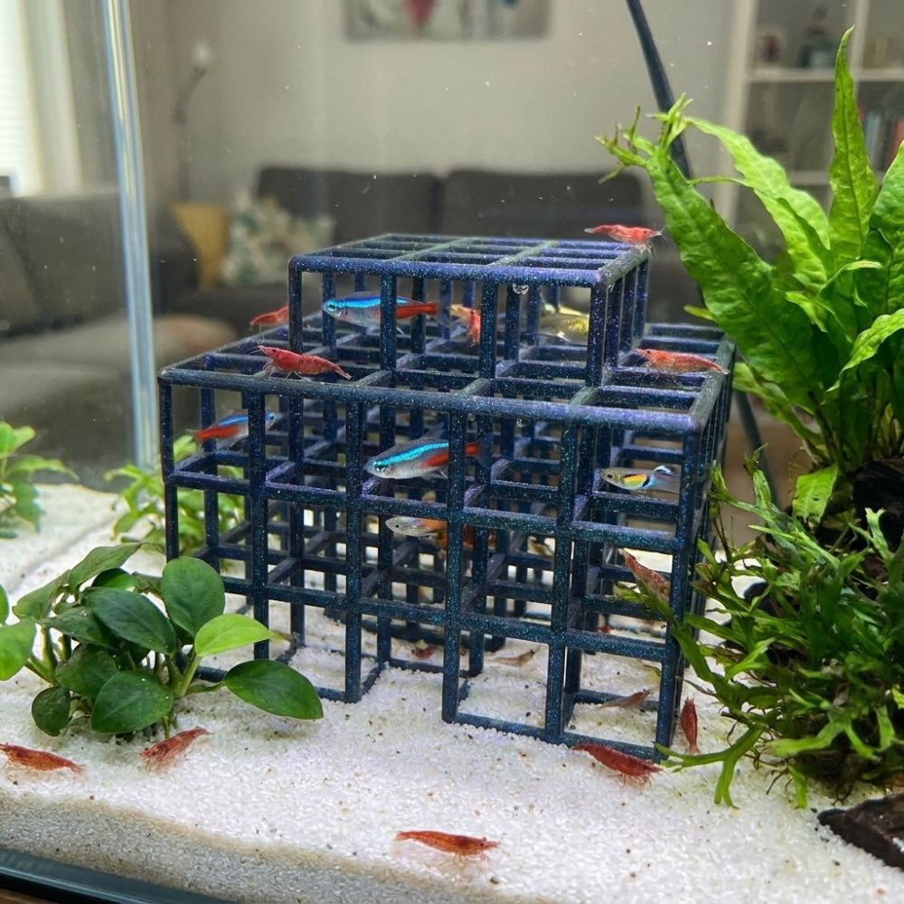 Escondite para Peces y Camaron - Aquarium Fish Games reseña y precio