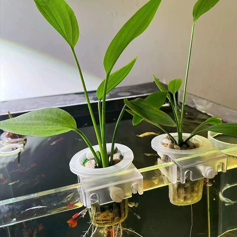 Cesta de plantación de acuario - Aquarium Fish Elevator reseña y precio