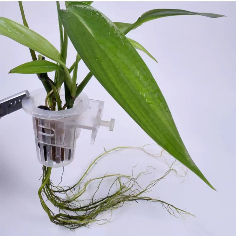 Cesta de plantación de acuario - Aquarium Fish Elevator reseña y precio