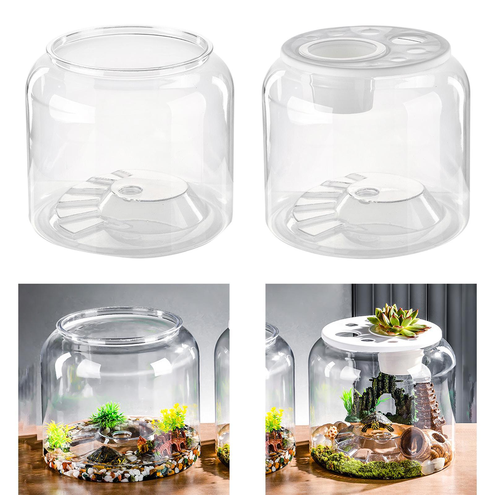 Acuario Transparente de Gran C - Aquarium Fish Drawing reseña y precio